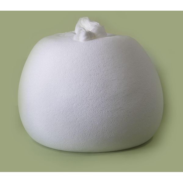 EcoBeanz Bean Bag Filling Refill 1 Cubic Feet