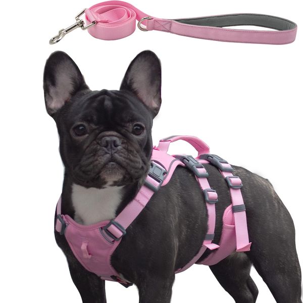 Wuffley Escape Proof Dog Harness and Leash Set, Lightweight Dog Harness with Lift and Assist Handle, No Pull Reflective Pet Vest for Small Medium Dogs, Ideal for Puppy Walking and Training (Pink, XS)