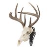 Allen Company EZ Mount Silhouette Skull Peg, Black