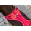 Belka Harness Brown S