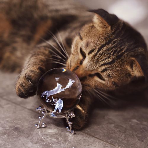 ZEERSHEE 60mm 3D Glass Laser Cat Figurine Crystal Ball with Stand Glass Paperweight Cat Gift for Cat Lovers Cat Ornaments for Cat Lovers Women