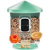 Smart Bird Feeder with 2K Camera AI Identify Bird Solar Panel APP Wi-Fi