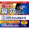 [Designated 2 drugs] Mentholatum Mediquick N Ointment 6g * Products subject to self-medication tax system