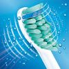 Philips Sonicare Original ProResults Standard Sonic Toothbrush Heads - 10 Pack in White (Model HX6010/32)
