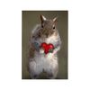 CafePress Squirrel Lover's Rectangle Magnet Magnets Rectangle Magnet, 3"x2" Refrigerator Magnet