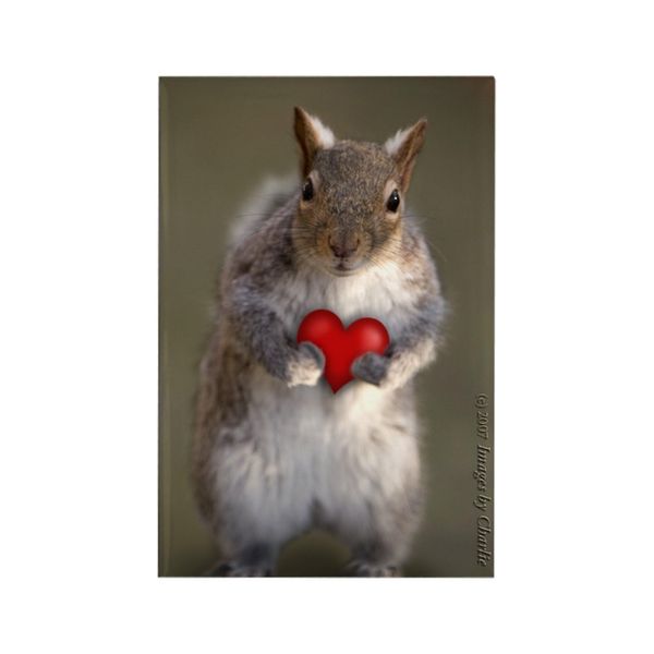 CafePress Squirrel Lover's Rectangle Magnet Magnets Rectangle Magnet, 3"x2" Refrigerator Magnet