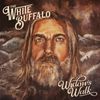 ON THE WIDOW'S WALK(LP)