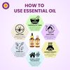 Deve Herbes Blends Oil (7 Chakra Essential Oil Kit)