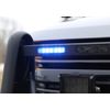 Whelen ION DUO Linear LED Lighthead - Red/Blue