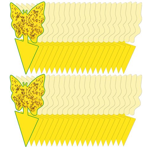 40 Pack Fungus Gnat Traps for House Indoor Yellow Sticky Traps for Gnats Sticky Traps for Plants, Dual-Sided Fungus Gnat Sticky Traps Fruit Fly Traps for Indoors