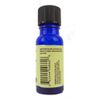 WYNDMERE NATURALS Pine Needle Essential Oil, 0.33 OZ