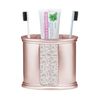Popular Bath Blush Sinatra Resin Tooth Brush