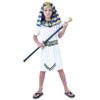 Bristol Novelty DS145 Pharaoh Costume Accessory Kit, One Size, Multicolor