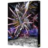 機動戦士ガンダムSEED FREEDOM （DVD）