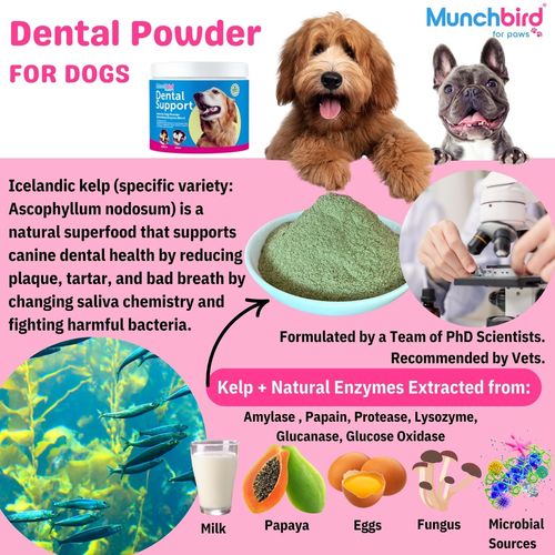 Munchbird Dental Support Powder for Dogs, Natural Kelp & Enzyme Blend, 120 Day Supply, Plaque & Tartar Control, Freshen Bad Breath