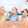 RINCO 5.75 Wooden Train Whistles - 12 Pack