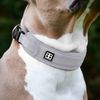 Active Light Cotton & Mesh Dog Collar, Lightweight and Adjustable, Comfortable for Dogs | Orange | Medium