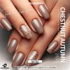 COLORBIRD Nail Tip Short Ballerina Square (W1782)