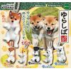 Capsule yurasi If All 6 types Set
