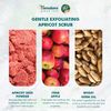 Himalaya Gentle Exfoliating Apricot Scrub| Suitable for all skin types - 75ml