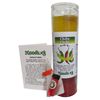Chile Dressed Candle Kit - Chile