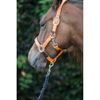 Cameo Equine Fieldsafe Headcollar Pony Red/Reflective