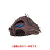 MIZUNO Softball Fielder Grab WILLDRIVE BLUE All-Round Size 10 Left Throw
