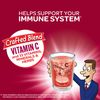 Airborne Immune Support Supplement, Very Berry, 10 Count
