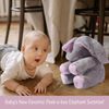 Dimple Animated Plush Singing Kaia Elephant with Peek-a-boo Interactive Feature