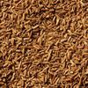 McCormick Cumin Seed, 0.95 oz (Pack of 6)
