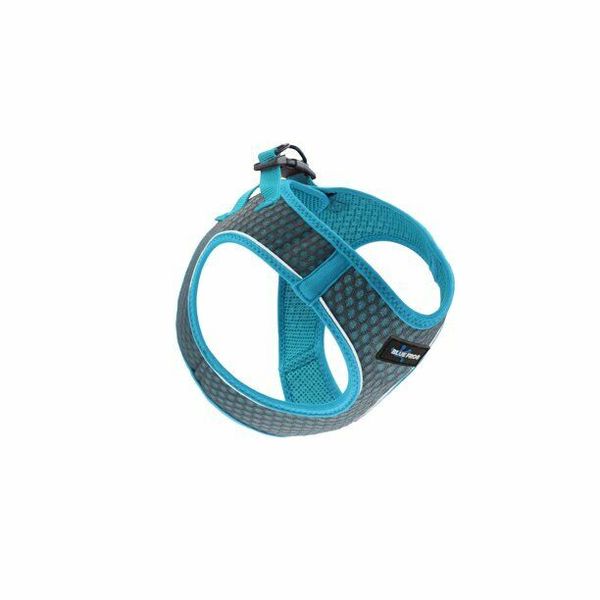 Blue Frog 2X Track N Guard Pet Health and Safety Harness with GPS ,Small, Blue