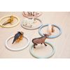 Activity Rings Nordic Pack of 6