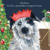 Border Collie Pointer Christmas Card – Tinsel Lockdown