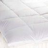 Sleepy Willows Single Extra Thick Pure Duck Feather Mattress Topper