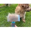 Masterclip Flat Head Hard Pin Slicker Brush - Suitable For Grooming Small Dogs & Pets (SMALL)