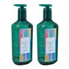 Bath & Body Works Gel Hand Soap 2-Pack 8oz/236mL Each (Radiant Sky)