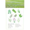 Natural Island Forest Skin Protector, UV 55g
