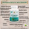 Holy Basil (Tulsi) Capsule