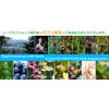 ekurekutexikku Gingko (ginko) MG X 135 Capsules E024