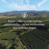 Koloa Estate Medium Roast - Whole Bean Coffee, 32 Oz. Package