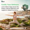 Lion's Power Herbal 100 Capsules – Versatile Mushroom + Herb Blend