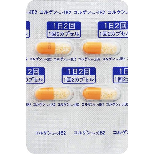 【指定第2類医薬品】コルゲンコーワIB2 16カプセル