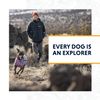 Ruffwear All-Terrain Dog Boots (Set of 2), Miniature Breeds, Size: 38 mm/1.5 in, Obsidian Black, Grip Trex, P15202-001150
