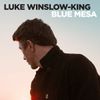 Blue Mesa [VINYL]