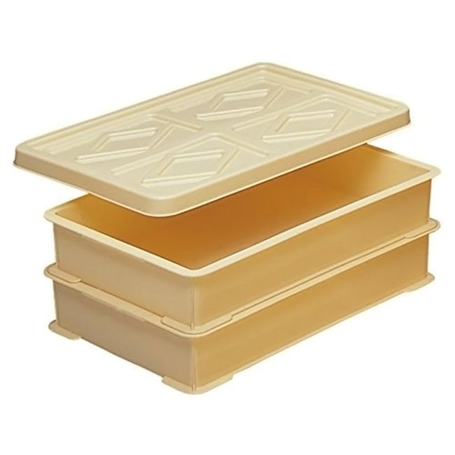 SankoPlastic Food Container Food Container, Main Unit: 2, Lid: 1, Ivory