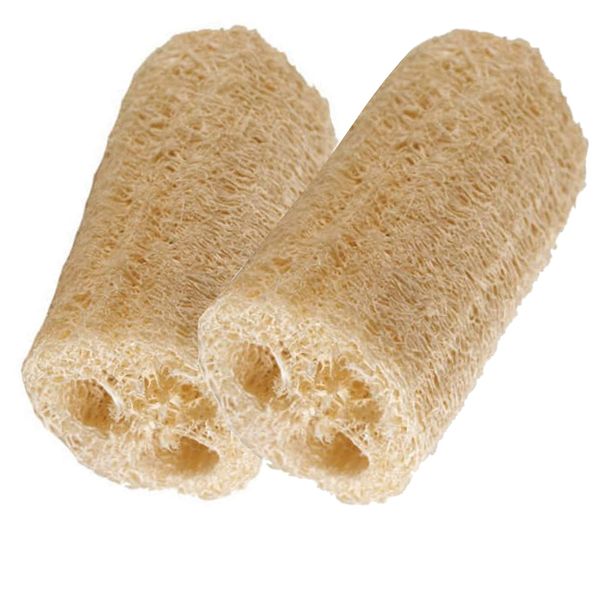 HealthGoodsIn - Organic Loofa Natural Bath Sponge, Set of 2 Exfoliating Bath Sponge Scrubber | Naturally Grown Loofah (Set of 2)