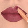 Astra Pure Beauty Lip Liner Pencil (06 - Cherry Tree)