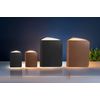 Gingko Black Natural Leather Finish Mini Smart Book Desk Light