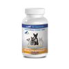 cat urinary health supplements - URINARY TRACT SUPPORT FOR PETS - cranberry pill