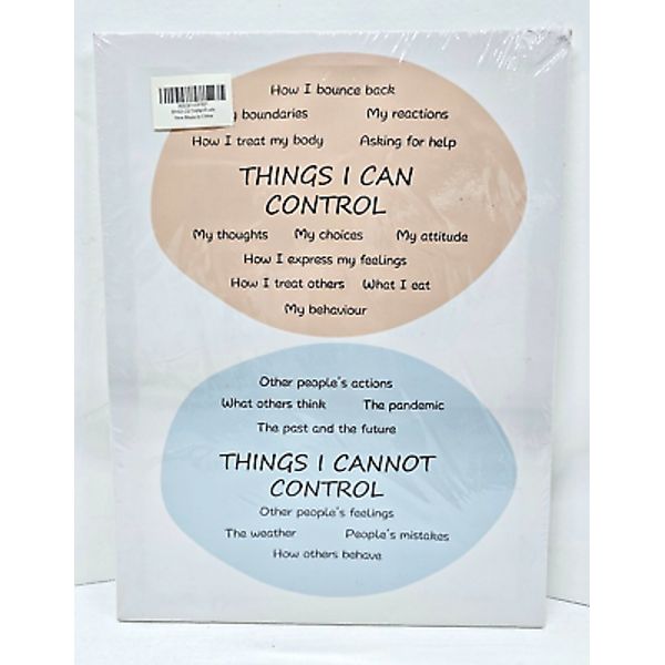 Things I Can Control Wall Art Mental Health Framed Rustic Hanging Canvas. Good